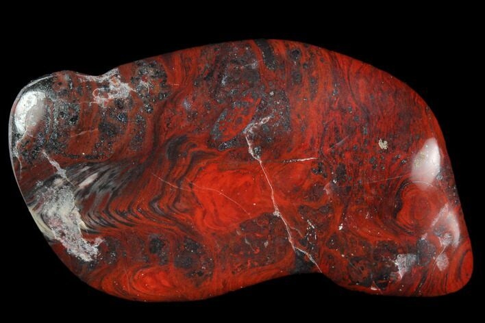 Polished Stromatolite (Collenia) - Minnesota #126098